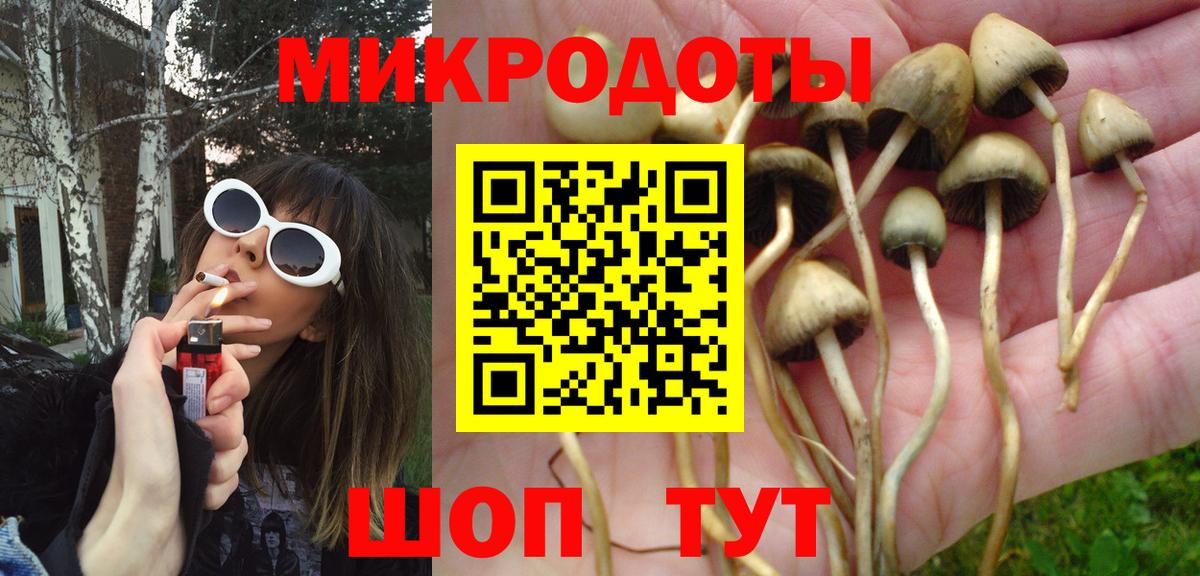 Галлюциногенные грибы мухоморы  Вход с VPN  Ессентуки 